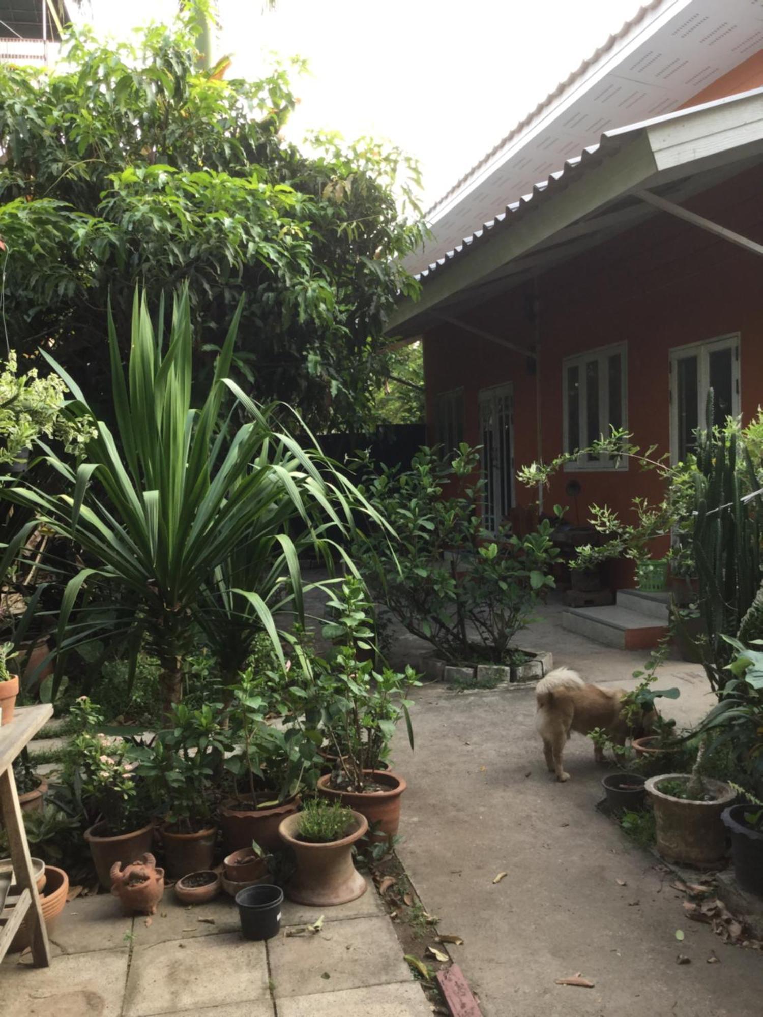 Hotel Baan Songjum Chiang Mai Exterior foto
